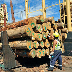 Jonathan Barran Forestry Photography, Forestry Photographer in Rotorua NZ